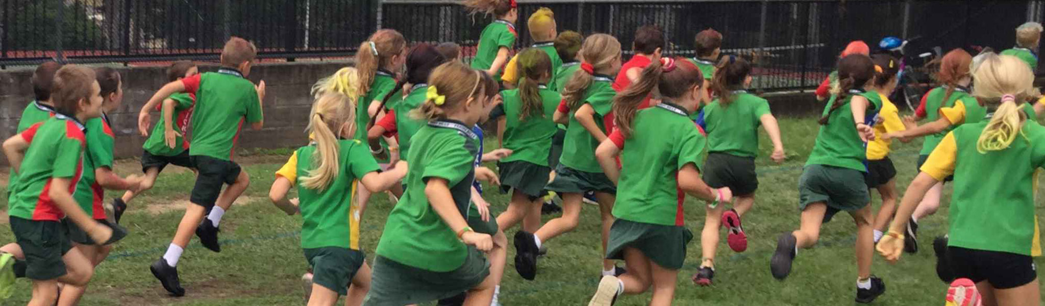 Ferny Hills State School